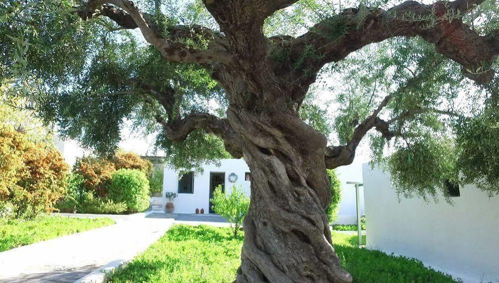 Selinitsa Niriides Villas מראה חיצוני תמונה